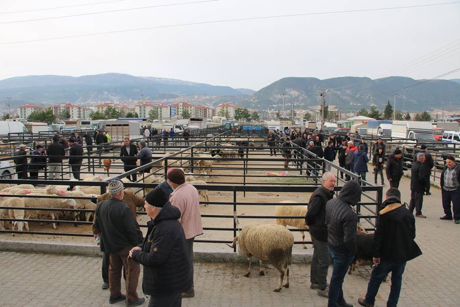 Kütahya’da kurbanlık satışları erken başladı