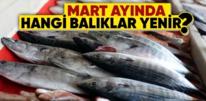 Mart Ayında Hangi Balıklar Yenir?