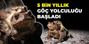 Kütahya’da 5 bin yıllık göç yolculuğu başladı