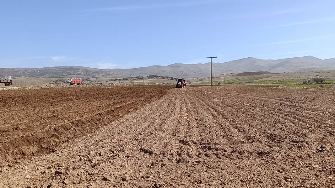 Afyonkarahisar'da patates ekimi başladı