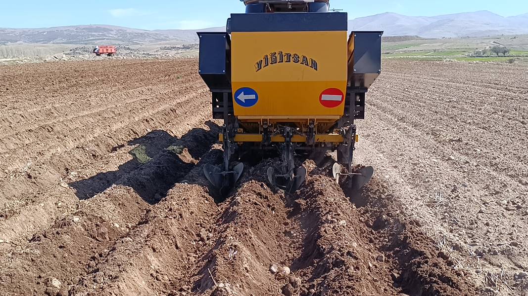 Afyonkarahisar'da patates ekimi başladı