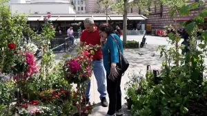 Bağı bahçesi olmayan kent sakinleri, balkonda yetiştiriyor