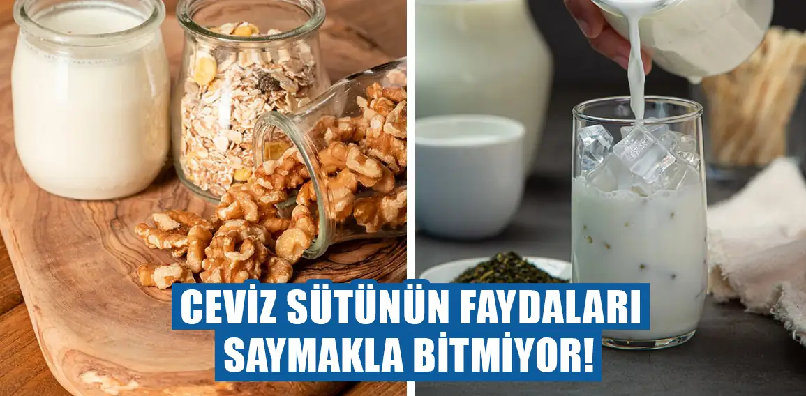 Ceviz sütünün faydaları nedir?