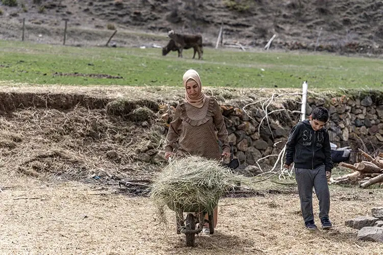 Gurbetten köyüne dönen kadın devlet desteğiyle sürü sahibi oldu
