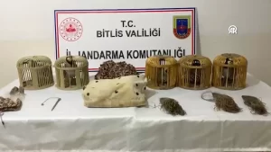 Kaçak keklik avlayanlara 63 bin lira ceza