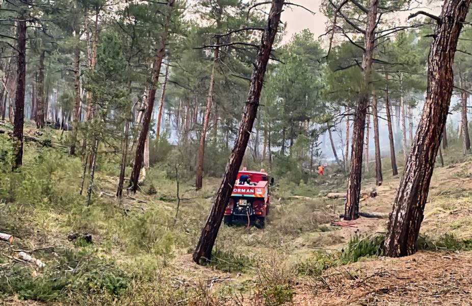 Kütahya'da orman yangını çıktı