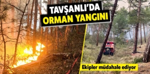 Kütahya’da orman yangını çıktı