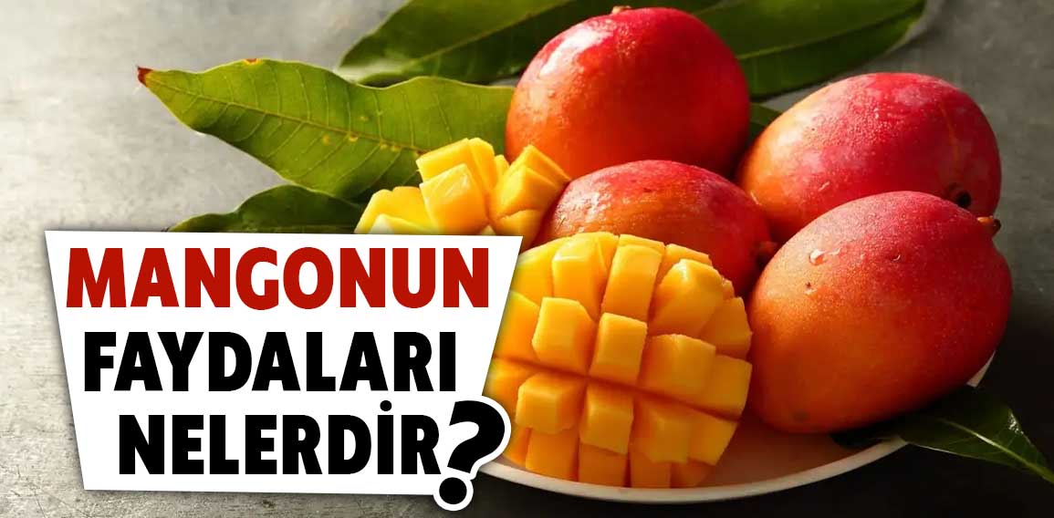 Mango, tropik bir meyve