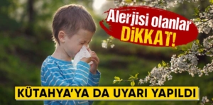 Alerjisi olanlar dikkat! Kütahya’ya da uyarı yapıldı