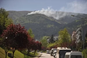 Bursa’da orman yangını çıktı