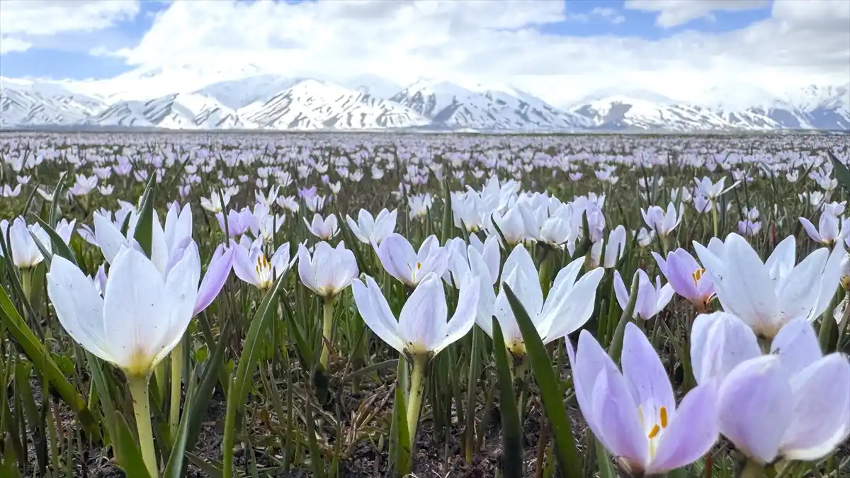 Hakkari‘nin Yüksekova ilçesinde kış