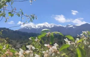 Murat Dağı’nın tepesi yeniden beyaza büründü