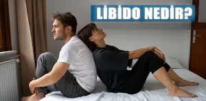 Libido nedir?