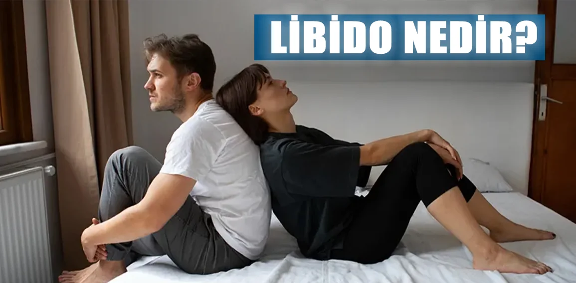 Libido nedir? Libido, Türk