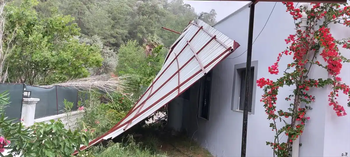 Muğla‘nın Ortaca ve Bodrum