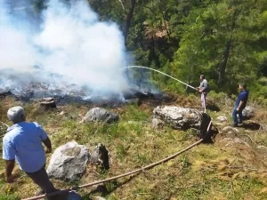 Muğla’da çıkan orman yangını söndürüldü