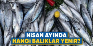 Nisan Ayında Hangi Balıklar Yenir?