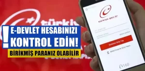 E-Devlet hesaplarınızı kontrol edin: Birikmiş paranız olabilir