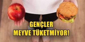 Gençlerin meyve tüketim alışkanlıkları