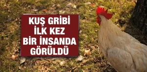 Kuş gribi ilk kez bir insanda görüldü!