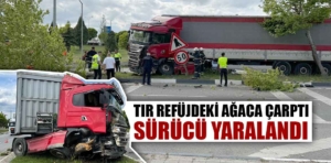 Kütahya’da tır refüjdeki ağaca çarptı: 1 yaralı