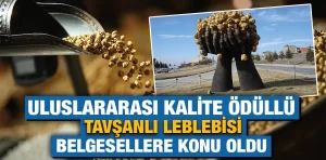 Kütahya’nın Tavşanlı Leblebisi’nin belgeseli yayımlandı