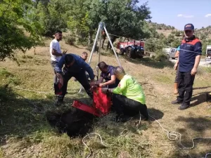 Manisa’da su kuyusuna düşen köpek kurtarıldı