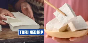 Tofu Nedir?