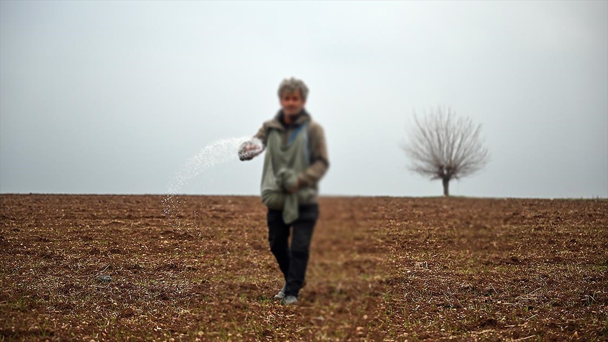 Türkiye Tohumcular Birliği Yönetim