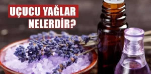 Uçucu yağlar nelerdir?