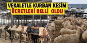 Vekaletle kurban kesim fiyatları açıklandı 