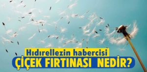 Çiçek Fırtınası nedir? Ne zaman olur, ne zaman biter?