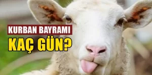 Kurban bayramı tatili kaç gün sürecek?