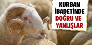 10 soruda kurban ibadetiyle ilgili doğru bilinen yanlışlar