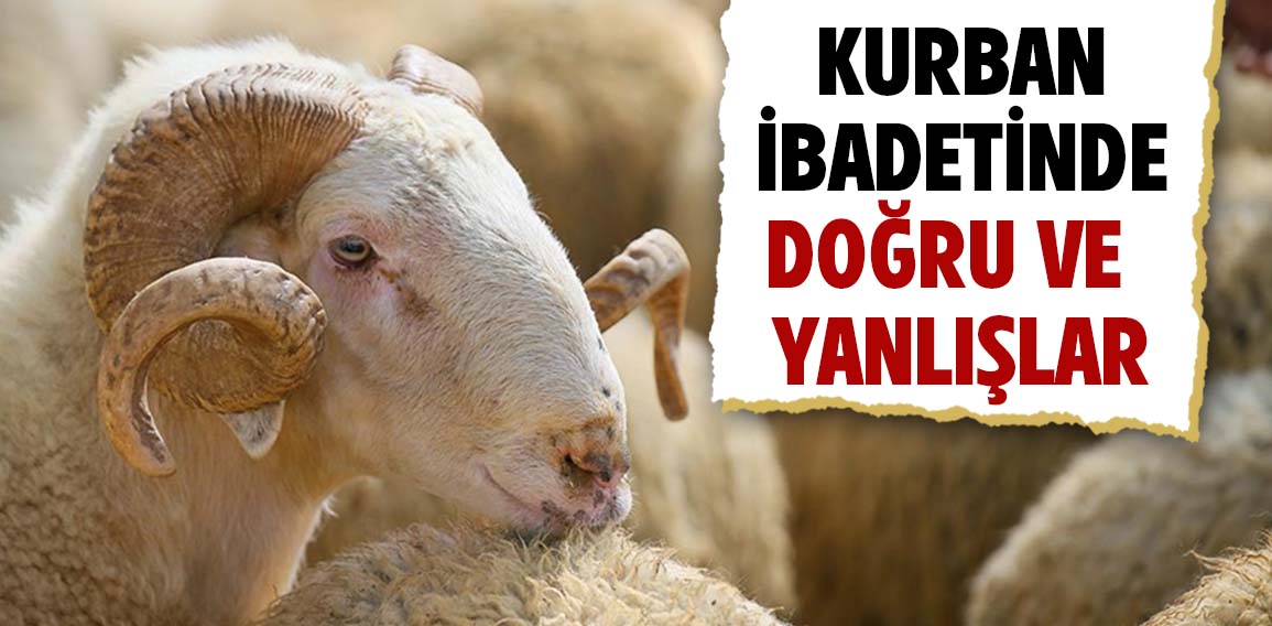 2 – Bir kurban