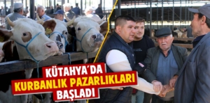 Kütahya’da kurbanlık pazarlıkları başladı 