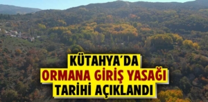 Kütahya’da ormana giriş yasağı tarihi açıklandı 