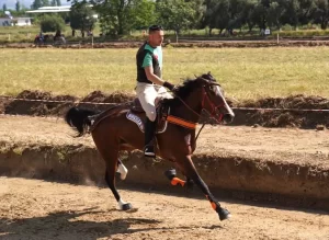 Tire’de rahvan at yarışları yapıldı