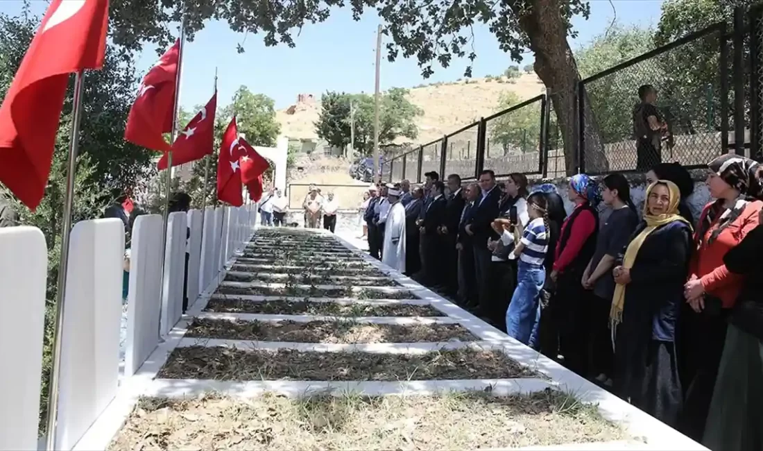 Mardin'in Ömerli ilçesinin kırsal