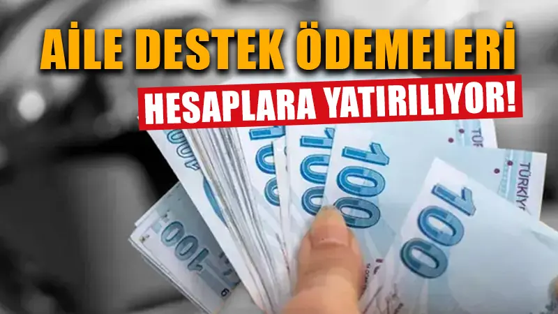 Aile destek programı ödemeleri