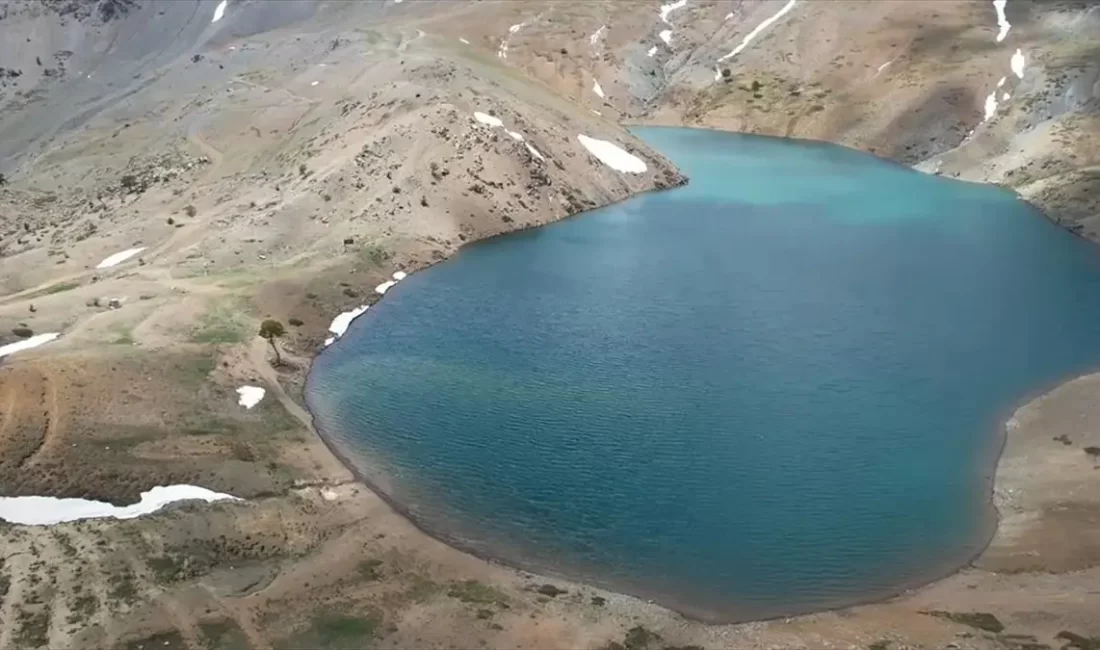 Erzincan'ın Üzümlü ilçesindeki Aygır