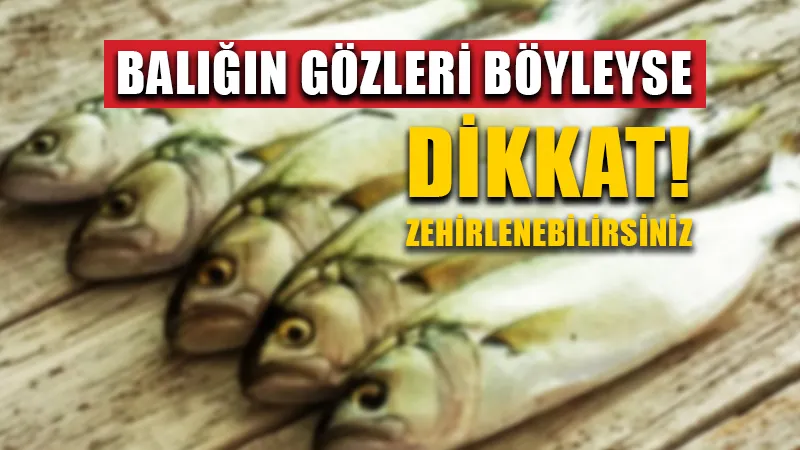 Balık alırken dikkat edilmesi