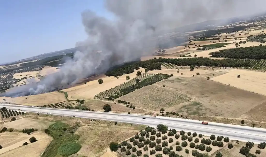 Çanakkale'de tarım alanındaki yangın