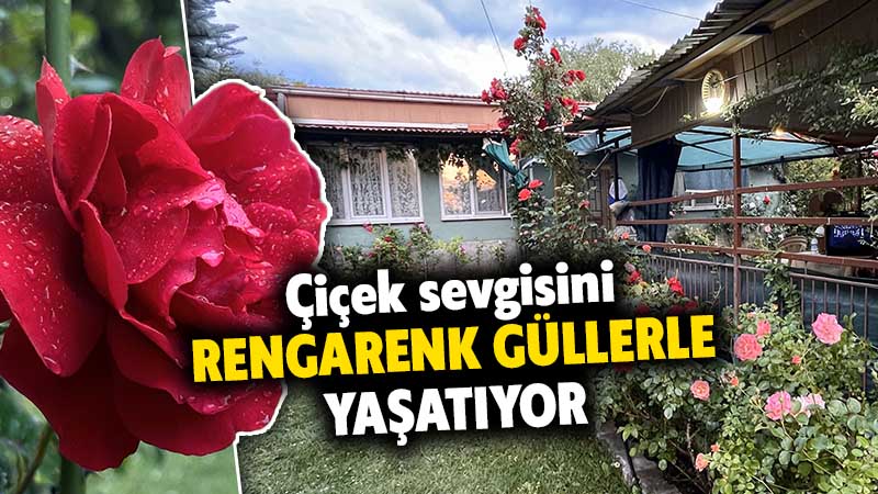 Kütahya'nın Tavşanlı ilçesinde 18