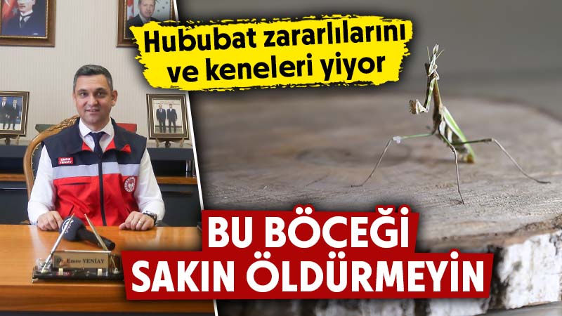 Çiftçilere “Peygamberdevesi böceğini öldürmeyin” uyarısı