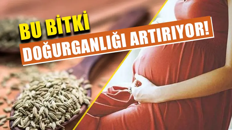 Çocuğu olmayanlara şifa veriyor, doğumu kolaylaştırıyor