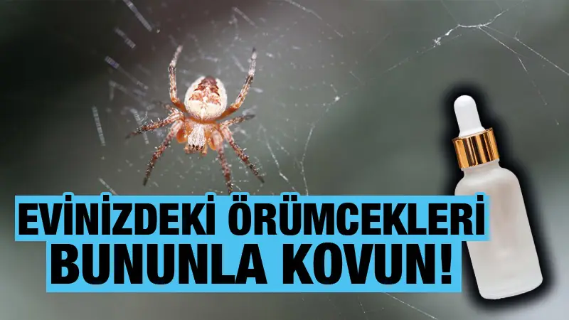 Evinizde Örümcekler mi Var? Bunu Dökün, Kaybolsunlar!