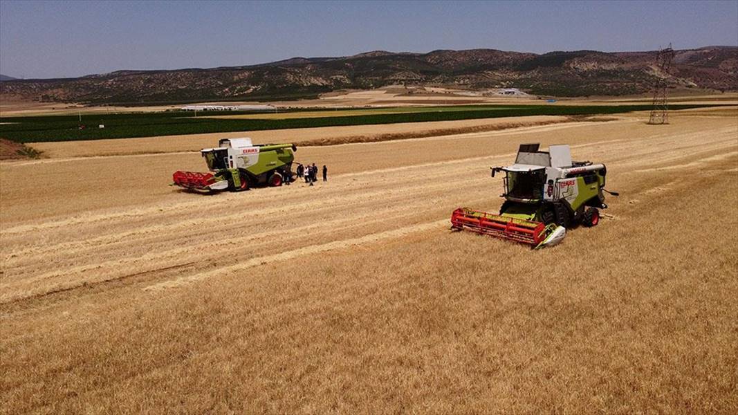 Tüm Biçerdöverciler ve Hasat