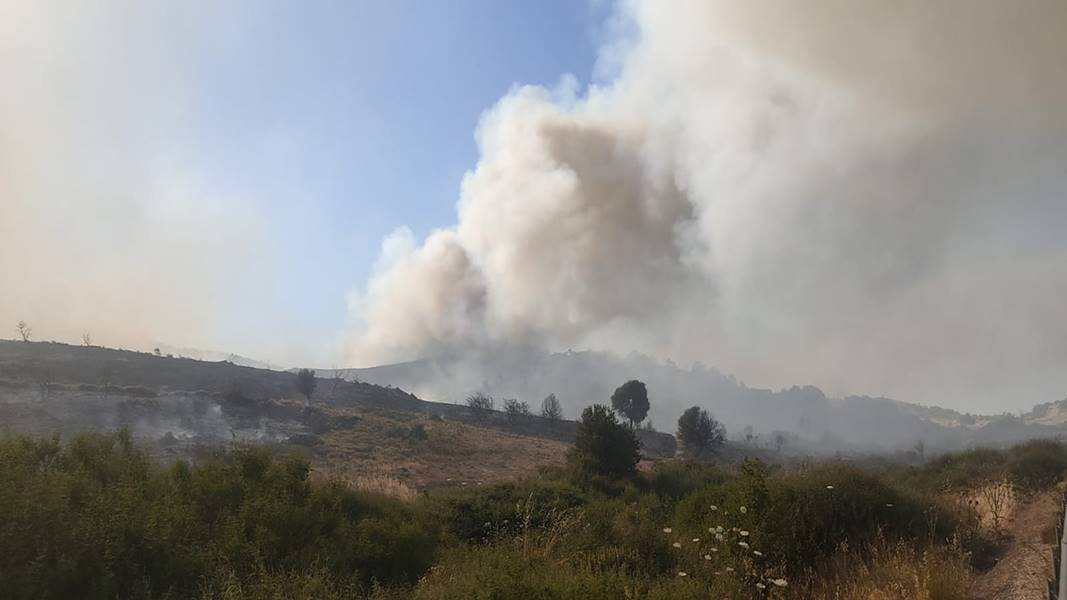 İzmir’de makilik alandaki yangın kontrol altına alındı