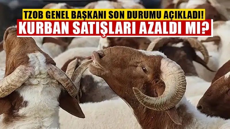 Fiyatlar fırladı kurbanlık satışları azaldı!